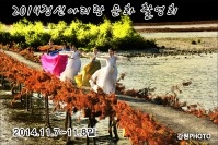 2014 정선아리랑 문화 촬영회 