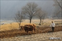 2014년 제2회 정선아라링 촬영회 