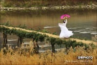 2014 정선아리랑문화 촬영회 (주천섶다리)