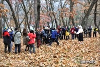 2104 정선아리랑문화 촬영회 및 정선풍경사진전시회  (신동읍) 