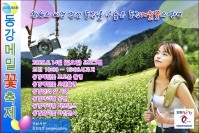 2020 제3회 동강메밀꽃축제 