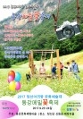 제1회 동강메밀꽃축제  