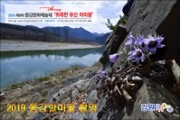 2019 동강할미꽃 촬영 안내 