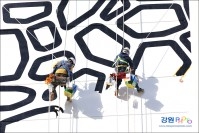 2019년 강원포토 사업실적 