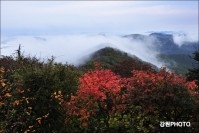 2014 정선의 첫 단풍소식 