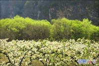 정선 동강 풍경 