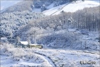 남면 자미원풍경 