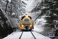 정선레일바이크 풍경열차