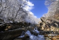 사북읍 도사곡 자연휴양림 계곡