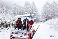 정선레일바이크