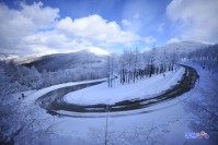 고한읍 만항재길