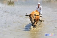 북평면 토속음식축제 