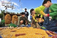 2012 정선아리랑제 옥수수까기체험