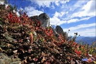 사북읍 두위봉 능선길 