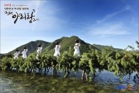 2012 정선아리랑제 섶다리체험