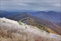 함백산설경-11
