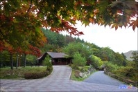 사북읍 도사곡 휴양림 