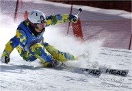 하이원리조트 스키대회 