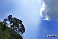 정선 동강 오송정 