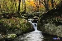 사북읍 도사곡 계곡