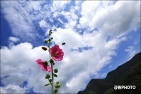 정선 동강의 하늘 