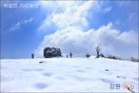 정선 가리왕산