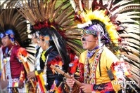 정선군 곤드레산나물축제 