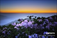 민족의 명산 함백산 