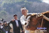  정선 민속 밭갈이 하시는 군수님 