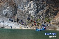 동강문화예술제 동강할미꽃 촬영 