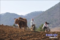 씨부리는 정선아낙네 