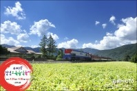 정선 토속음식축제 