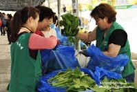 2016 정선군 곤드레산나물축제 
