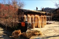 아라리촌 초가집 이엉씌우기 