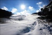 정선알파인경기 인공제설작업 