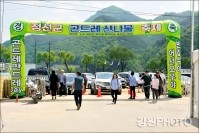 2017 정선군 곤드레산나물축제 