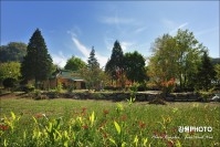 삼시세끼 촬영지 