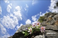 귤암리 동강아씨 