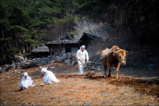 동상 / 밭갈이풍경 / 정성주